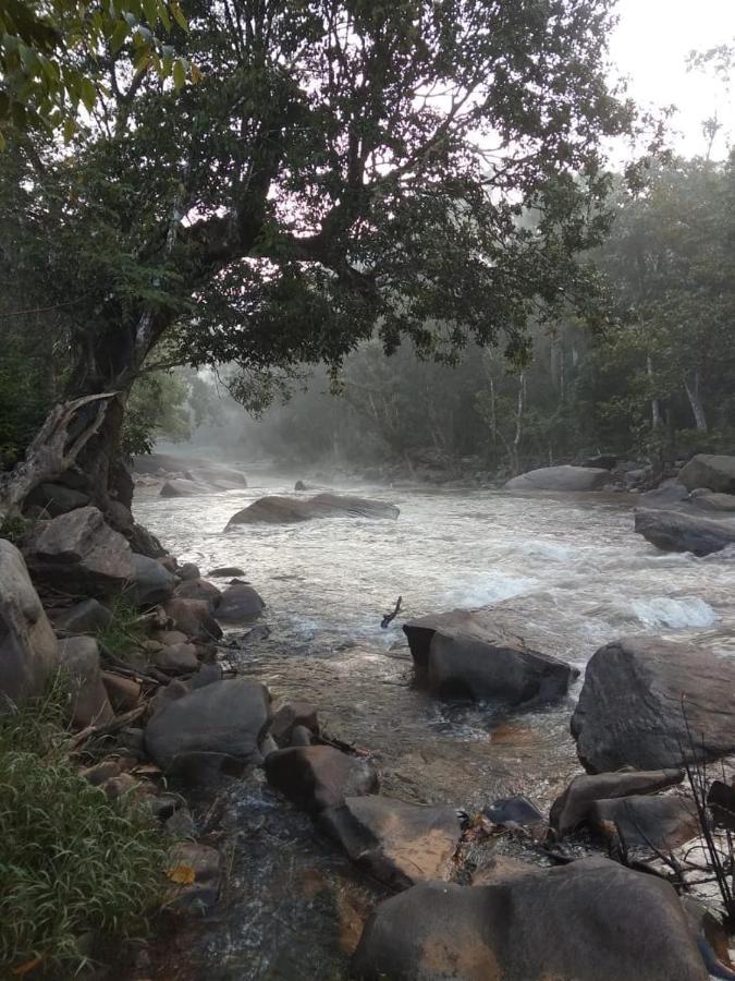 Coorg River Rock Camping マディケーリ エクステリア 写真