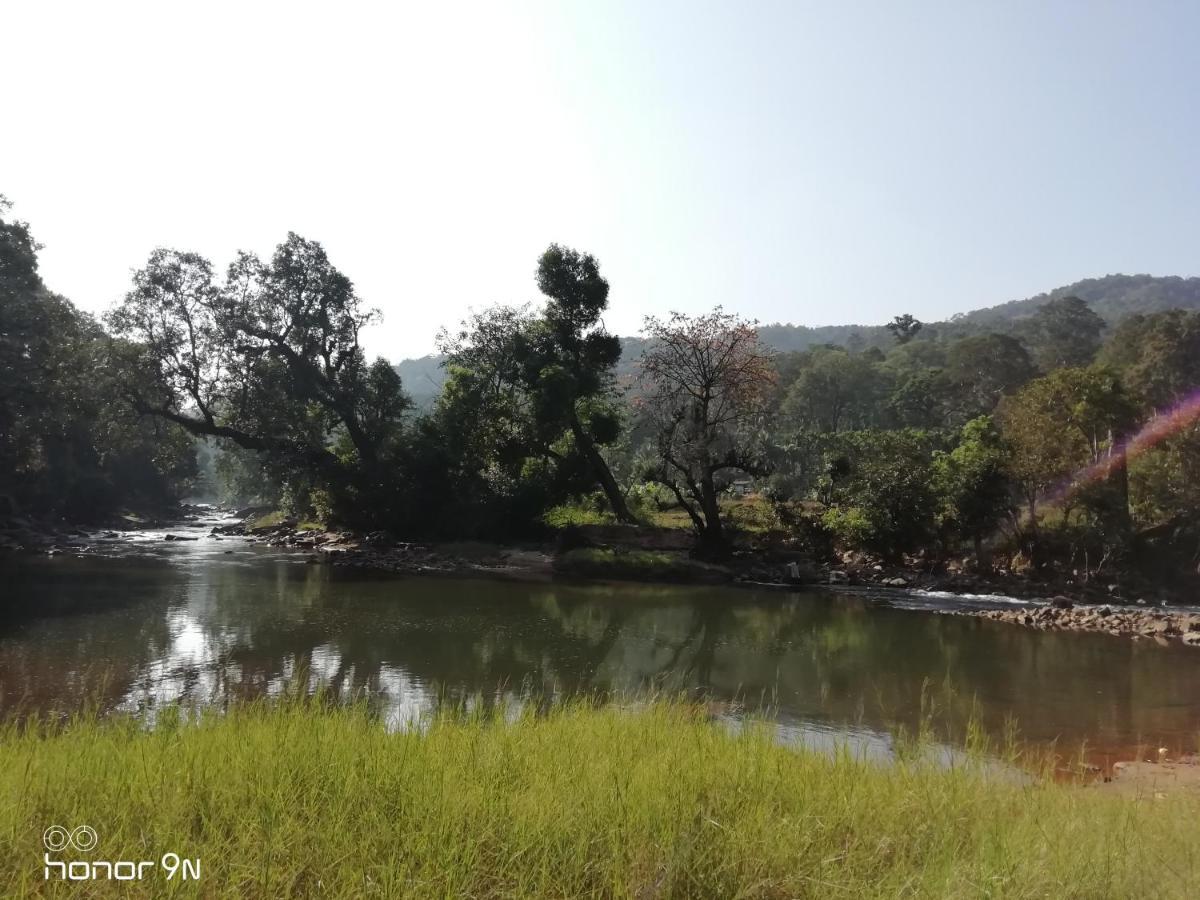 Coorg River Rock Camping マディケーリ エクステリア 写真