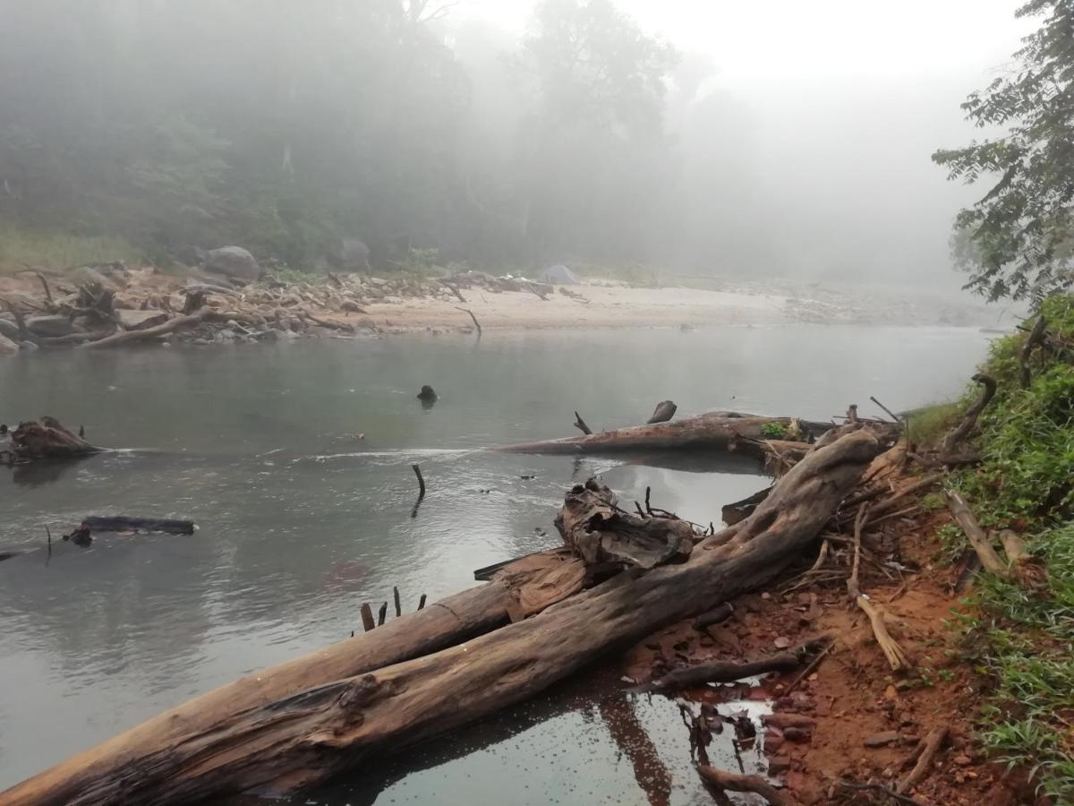 Coorg River Rock Camping マディケーリ エクステリア 写真