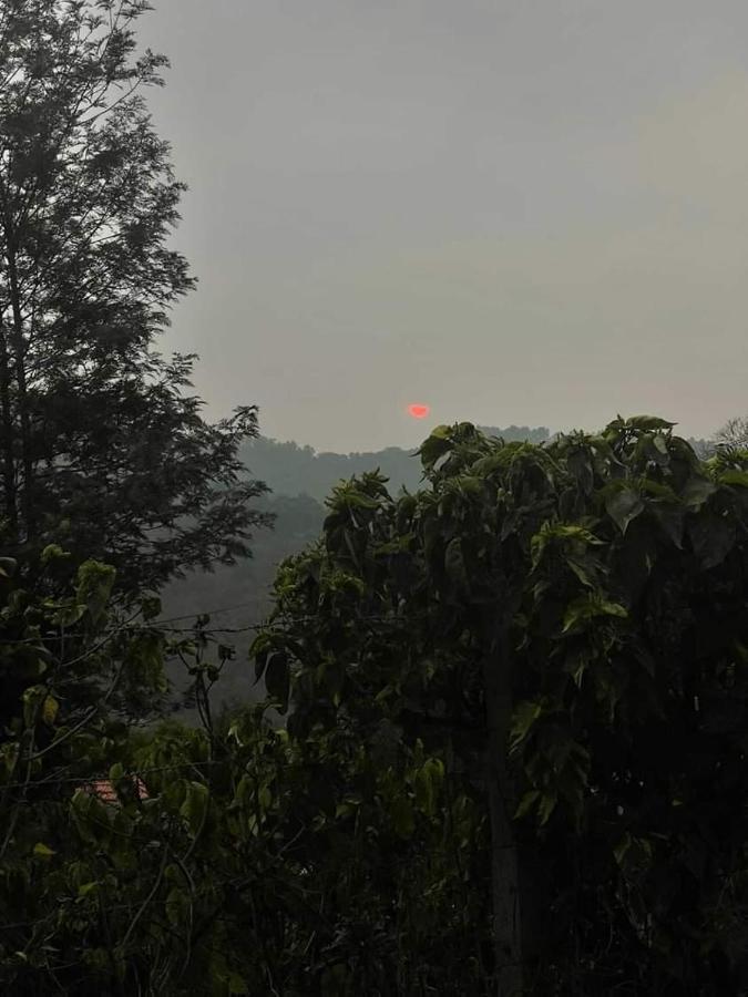 Coorg River Rock Camping マディケーリ エクステリア 写真