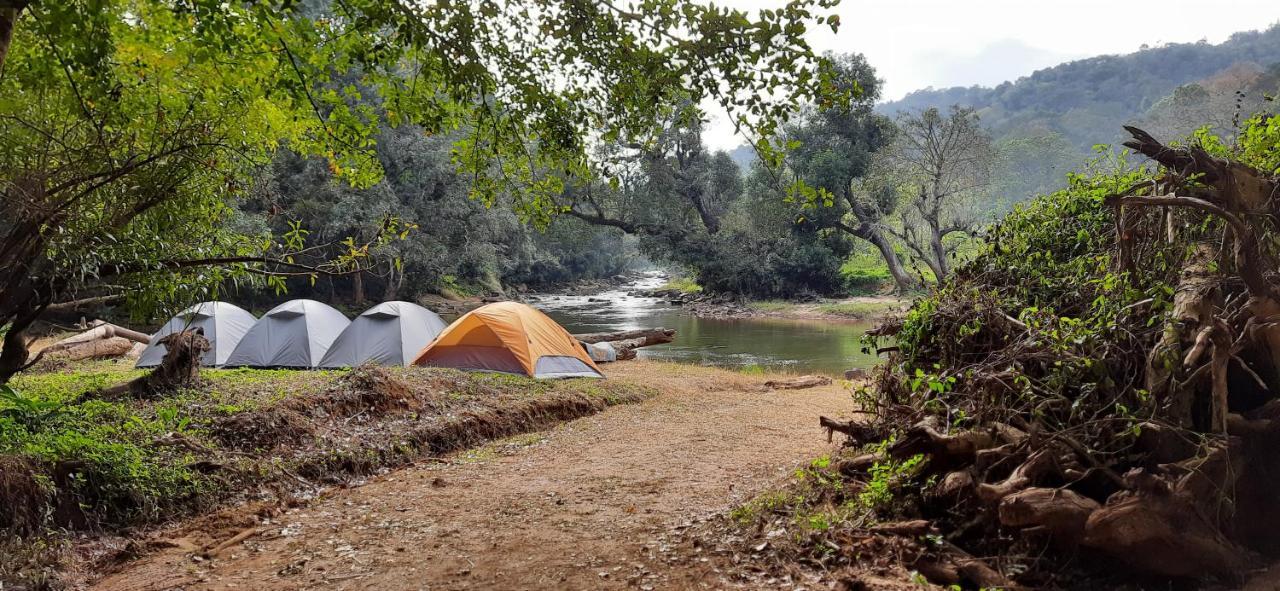 Coorg River Rock Camping マディケーリ エクステリア 写真