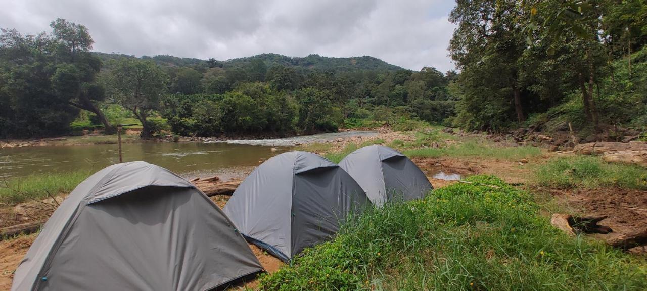 Coorg River Rock Camping マディケーリ エクステリア 写真